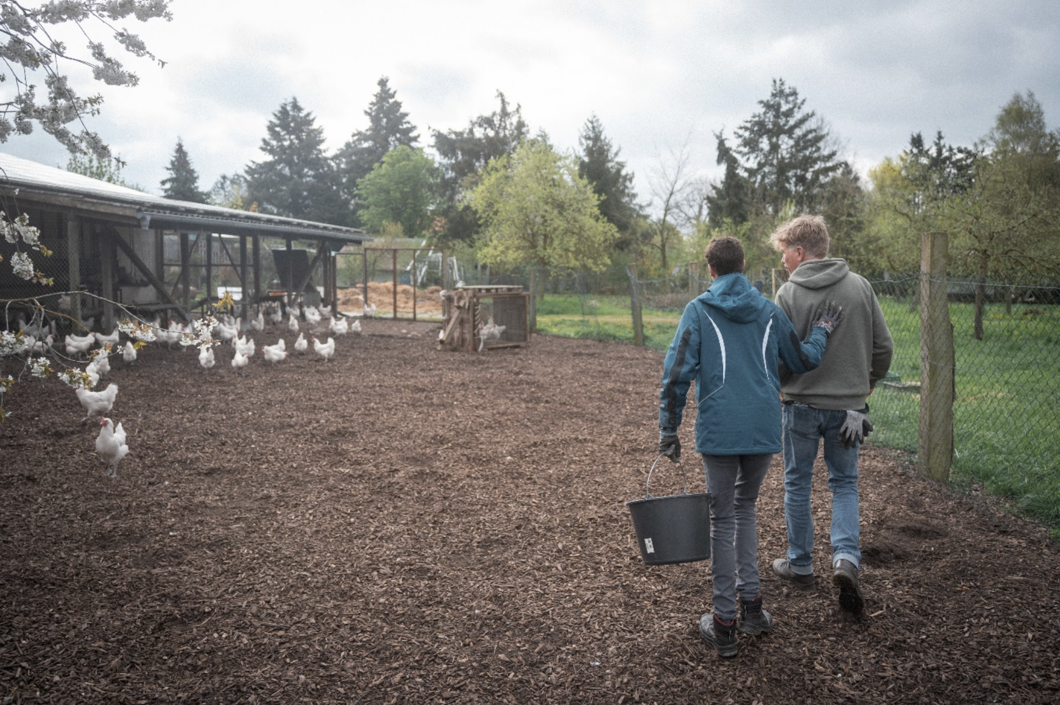 Infoveranstaltung Chancen und Möglichkeiten von Freiwilligendiensten für Menschen mit Behinderung