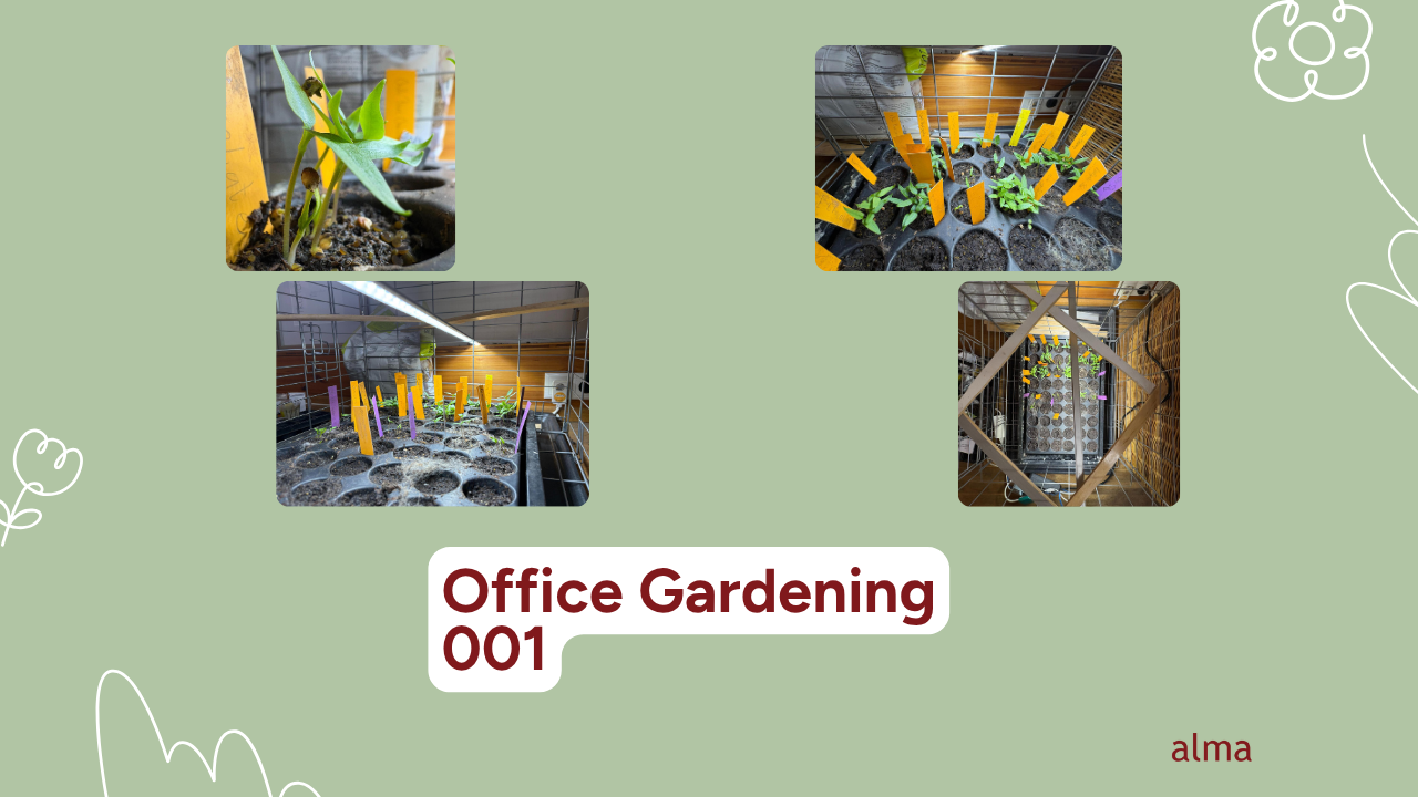 Office Gardening #001